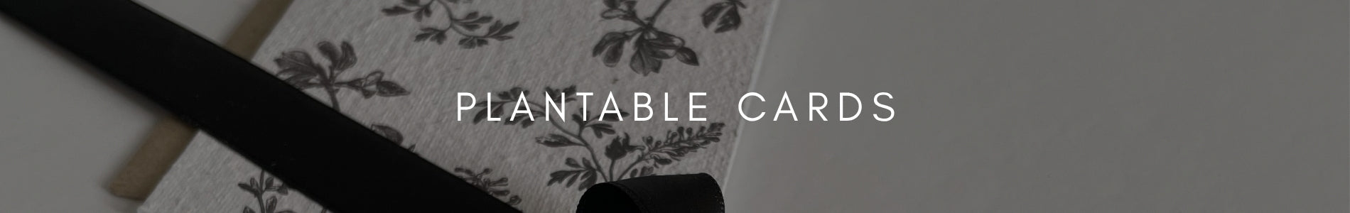Plantable Greeting Cards