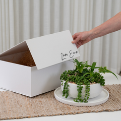 Tabletop Garden in a Personalised Gift Box