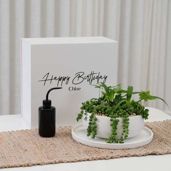 Tabletop Garden in a Personalised Gift Box