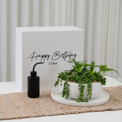 Tabletop Garden in a Personalised Gift Box