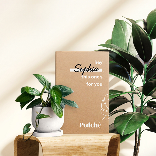 Potted Live Plant, Personalised Gift Box with Name(s) and Gift Card