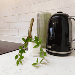 Mini Mood Booster Gift Box