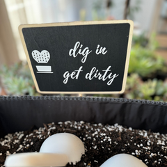 Private Tabletop Garden Workshop