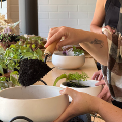Private Tabletop Garden Workshop