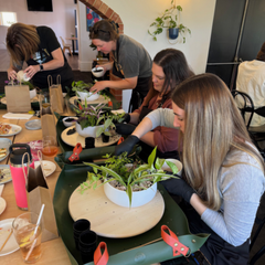 Private Tabletop Garden Workshop