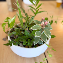 Private Tabletop Garden Workshop