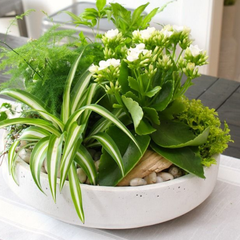 Private Tabletop Garden Workshop