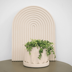 Archie - Concrete Rainbow Arch