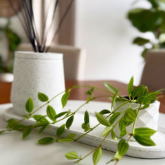 Serene Surroundings Hamper | Pre-Order Your for Valentine's Day