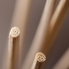 Rattan Reed Sticks (natural)