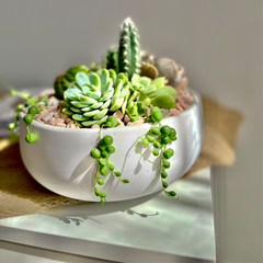 Private Tabletop Garden Workshop
