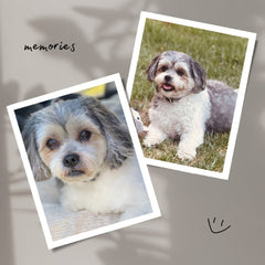 Personalised Photo Fridge Magnets